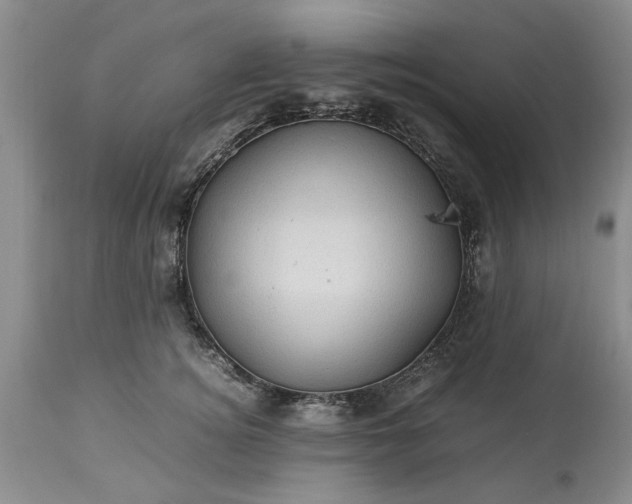 X0000113600756200910021741