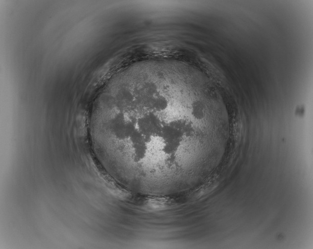 X0000113600757200910021741