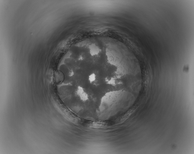 X0000113600758200910021741