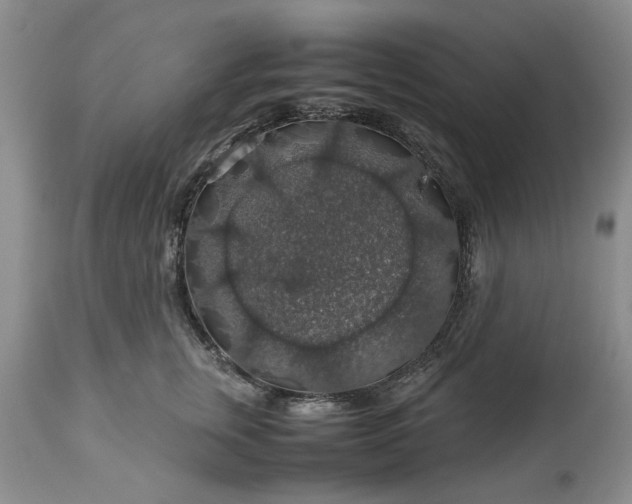 X0000113600759200910021741