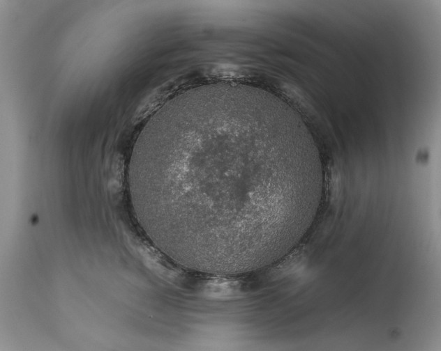 X0000113600760200910021741