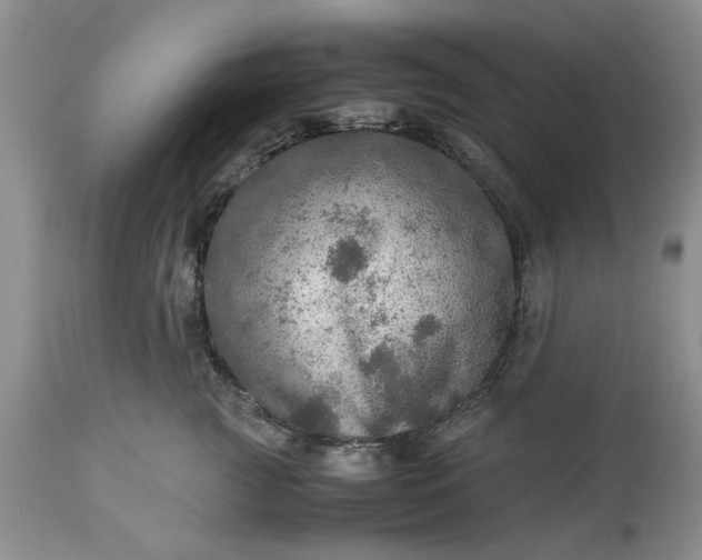 X0000113600761200910021741