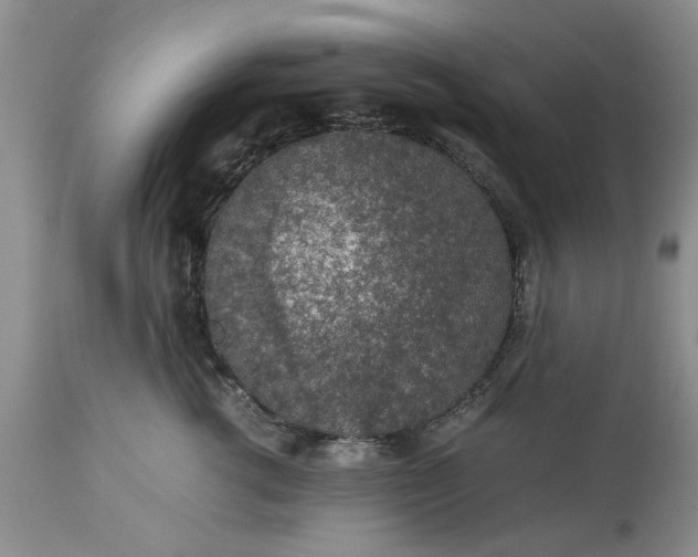 X0000113600762200910021741