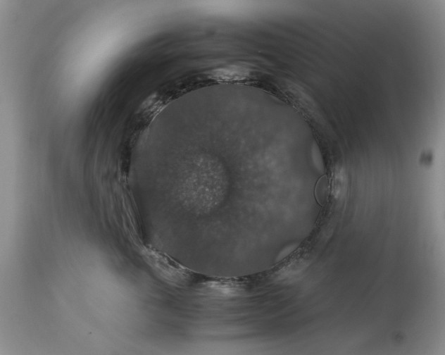 X0000113600763200910021741