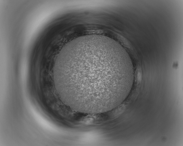 X0000113600764200910021741