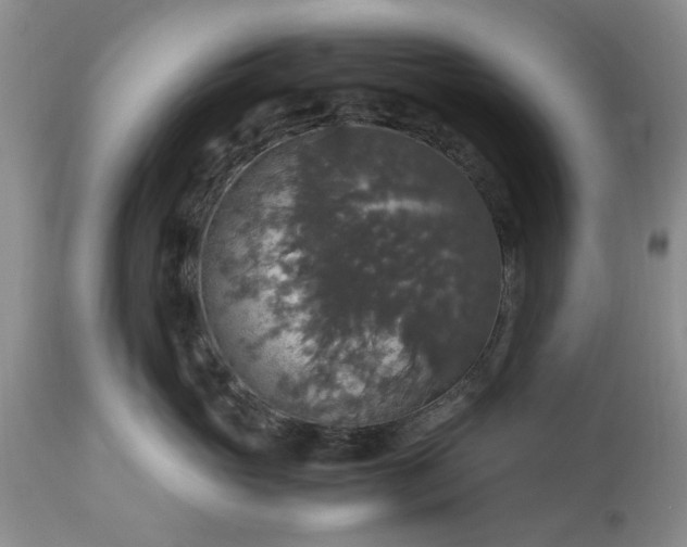 X0000113600765200910021741