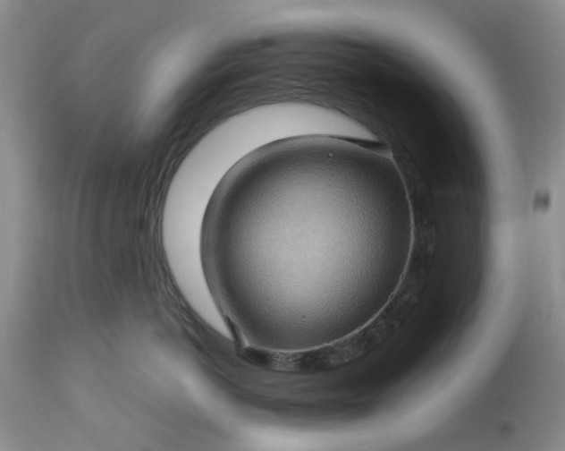 X0000113600766200910021741