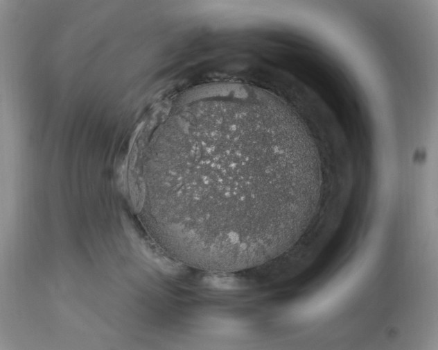 X0000113600767200910021741