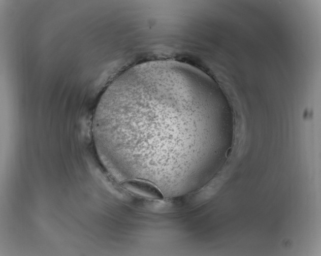 X0000113600768200910021741