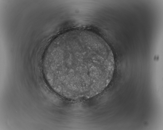 X0000113600769200910021740