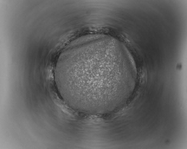 X0000113600770200910021740