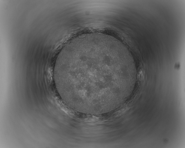 X0000113600772200910021740