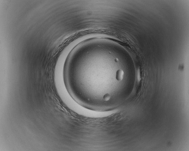 X0000113600773200910021740