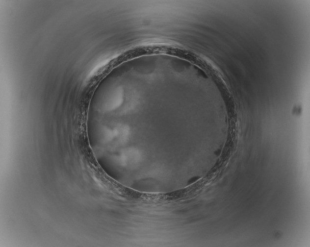 X0000113600775200910021740