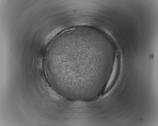 X0000113600777200910021740