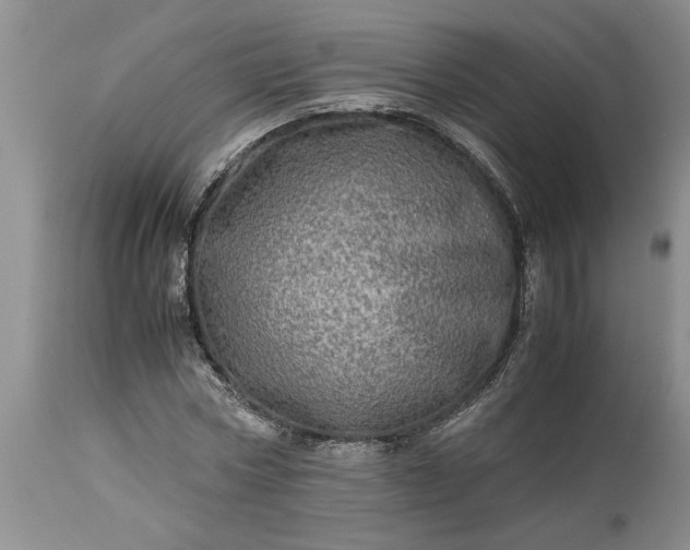 X0000113600778200910021740