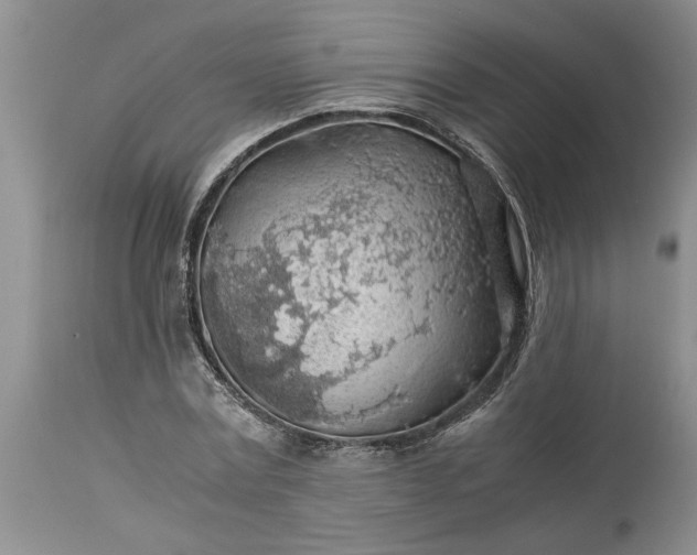 X0000113600779200910021740