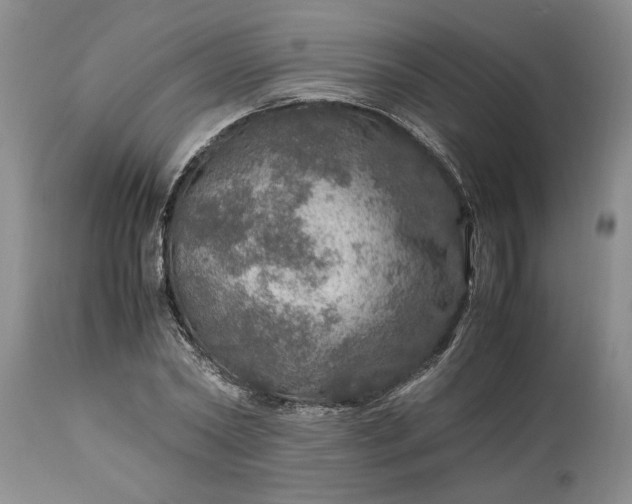 X0000113600782200910021740