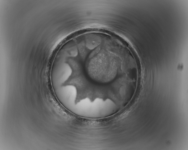 X0000113600783200910021740