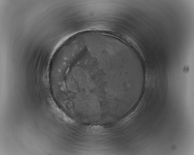 X0000113600784200910021740