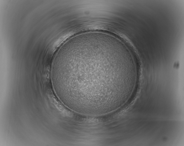 X0000113600785200910021740