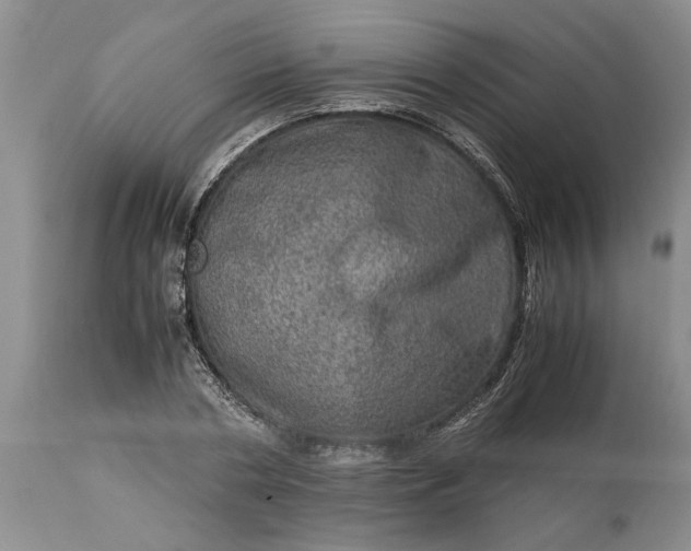 X0000113600786200910021740