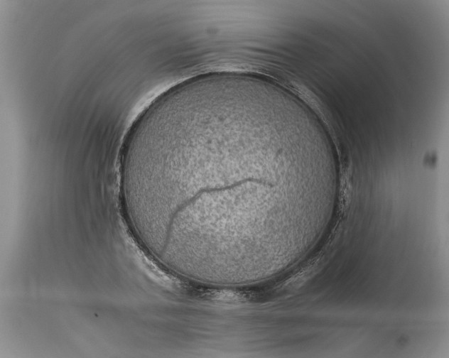 X0000113600787200910021740