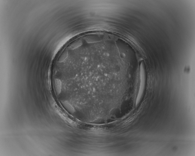 X0000113600788200910021740