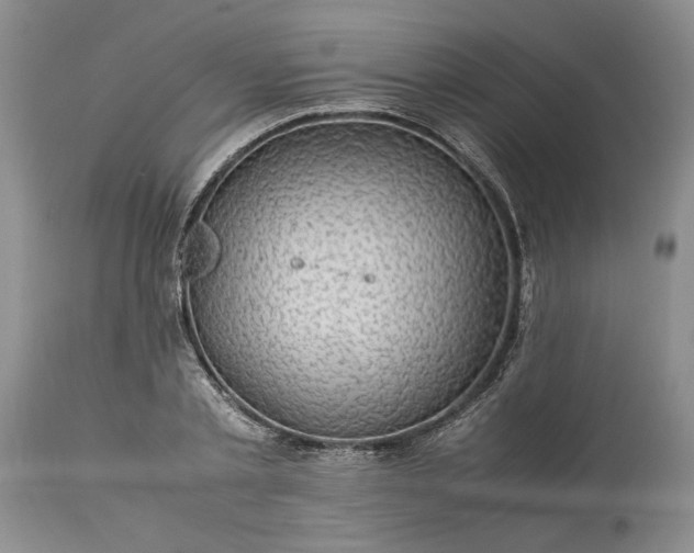 X0000113600789200910021740