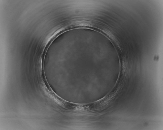 X0000113600790200910021740