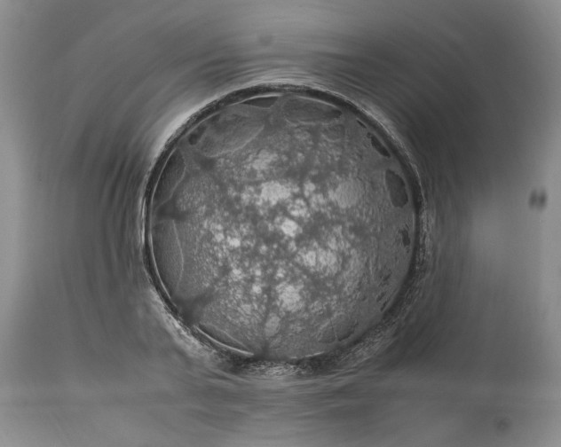 X0000113600791200910021740