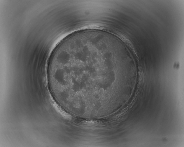 X0000113600792200910021740