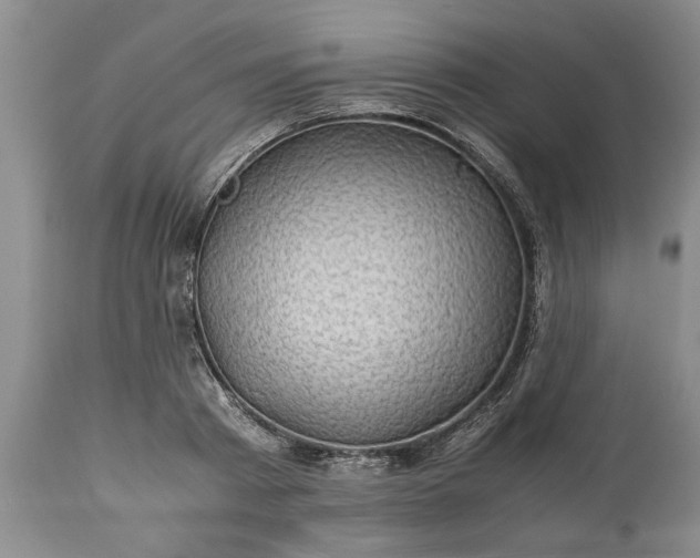 X0000113600793200910021740