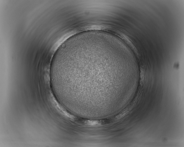 X0000113600794200910021740