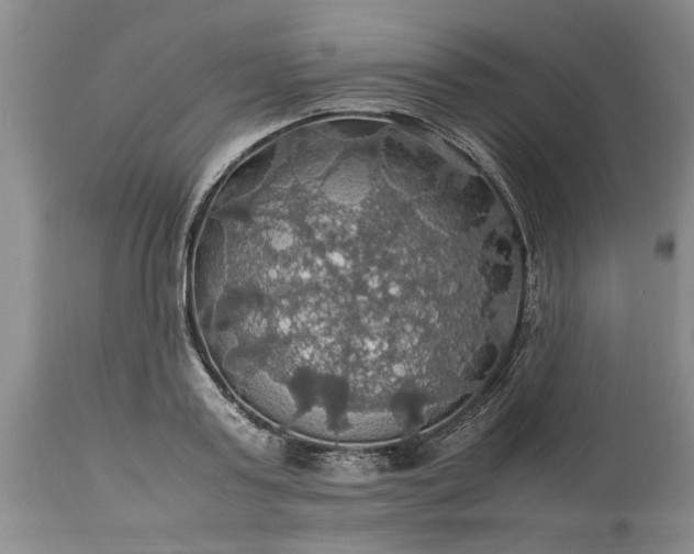 X0000113600795200910021740