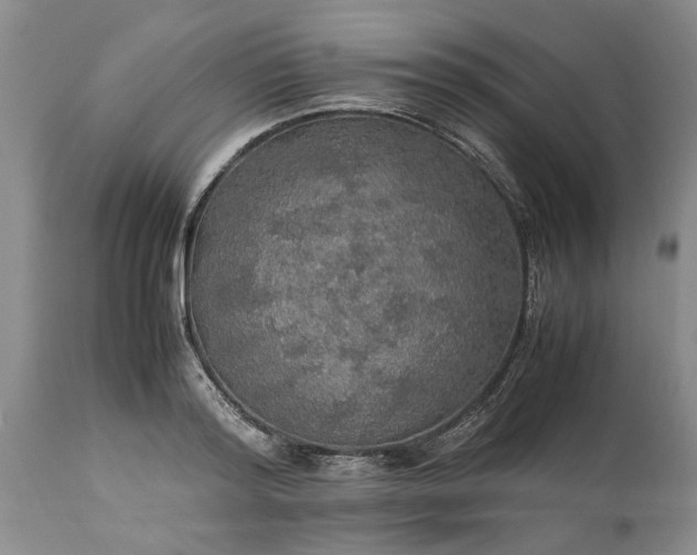 X0000113600796200910021740