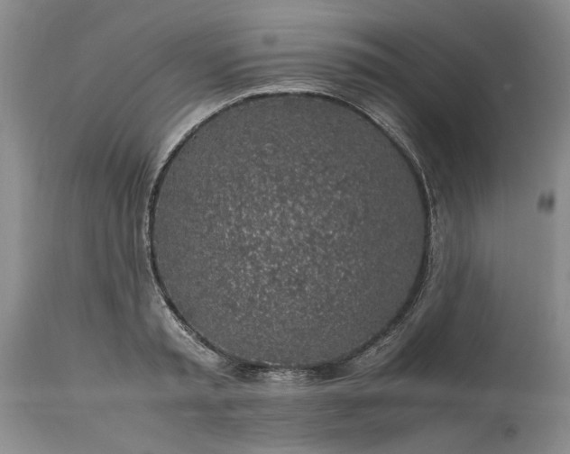 X0000113600797200910021740