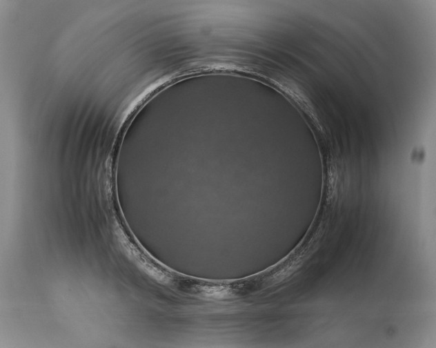 X0000113600798200910021740