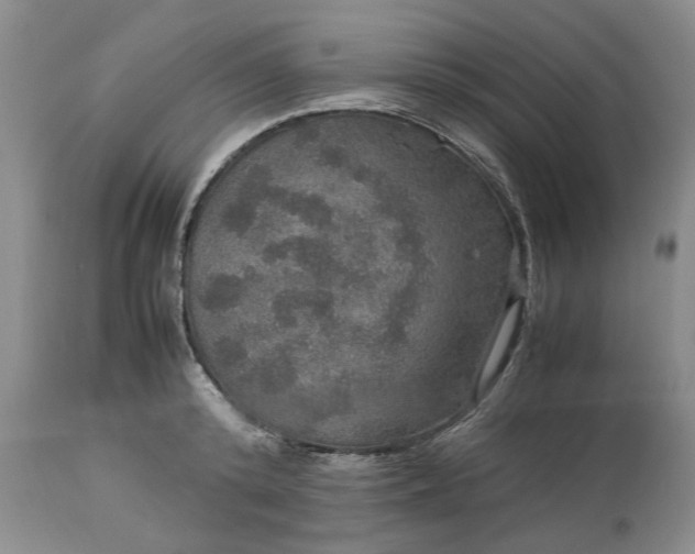 X0000113600800200910021740