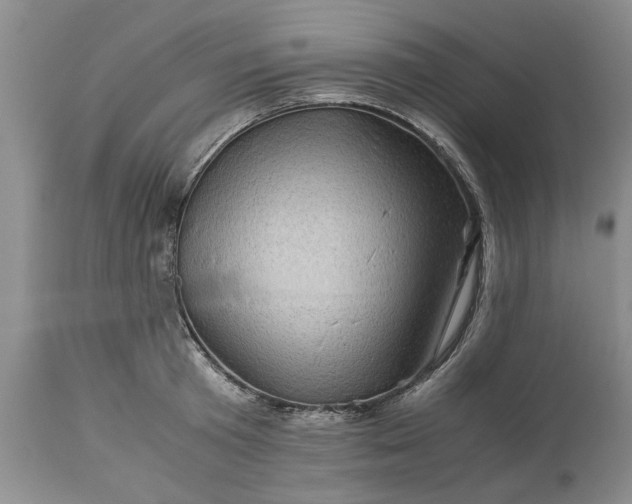 X0000113600801200910021739