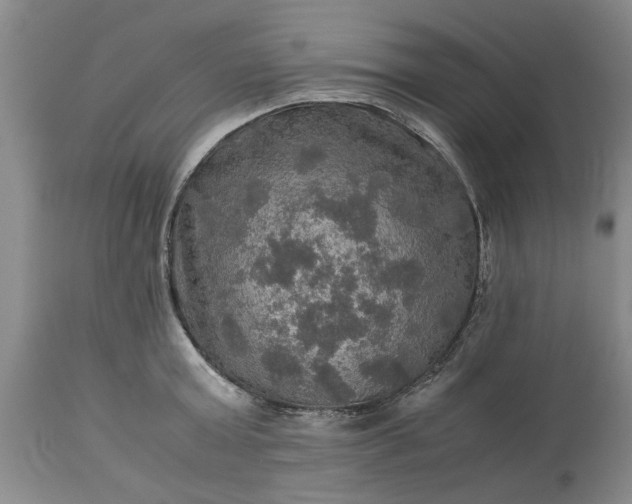 X0000113600803200910021739