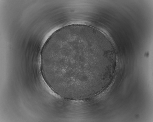 X0000113600804200910021739