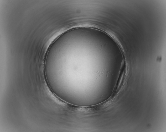 X0000113600805200910021739