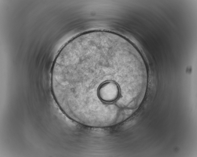 X0000113600807200910021739