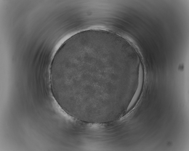 X0000113600808200910021739