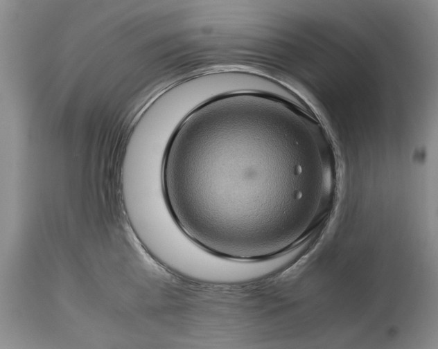 X0000113600809200910021739