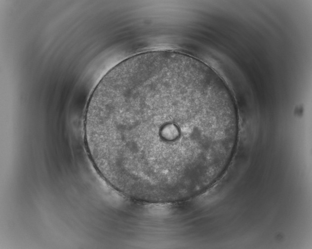 X0000113600810200910021739