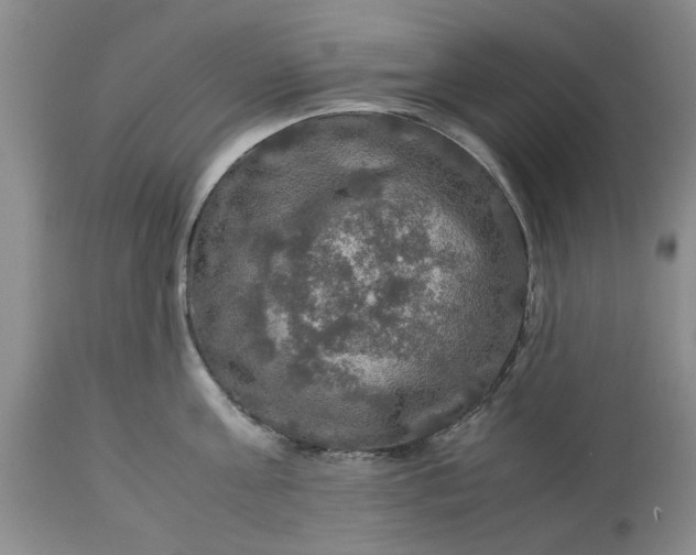 X0000113600811200910021739