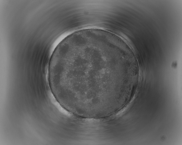 X0000113600812200910021739