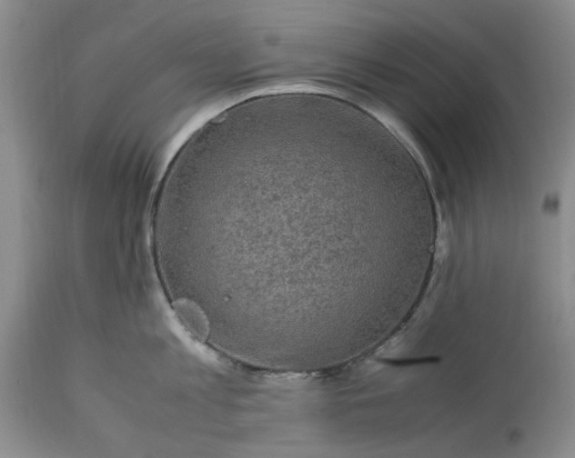 X0000113600813200910021739